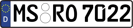 MS-RO7022