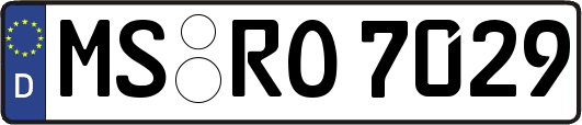 MS-RO7029