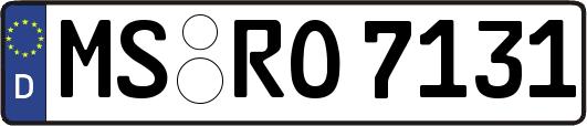 MS-RO7131