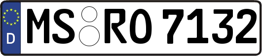 MS-RO7132