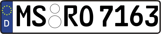 MS-RO7163