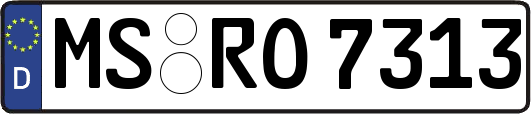 MS-RO7313