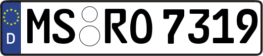 MS-RO7319