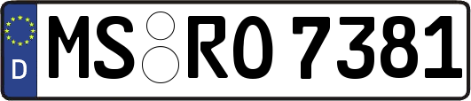 MS-RO7381