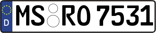 MS-RO7531