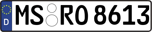 MS-RO8613