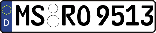 MS-RO9513