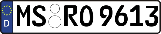 MS-RO9613