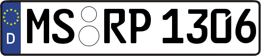 MS-RP1306