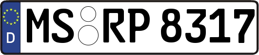 MS-RP8317
