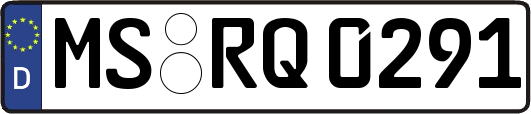 MS-RQ0291