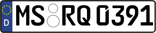 MS-RQ0391