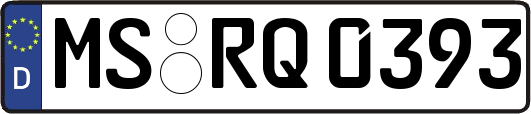 MS-RQ0393