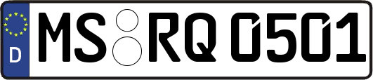 MS-RQ0501