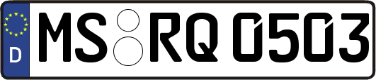MS-RQ0503