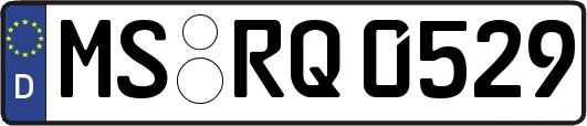 MS-RQ0529