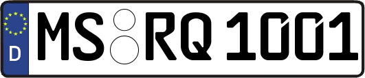 MS-RQ1001