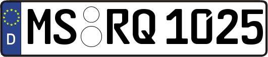 MS-RQ1025