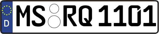 MS-RQ1101
