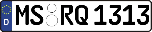 MS-RQ1313