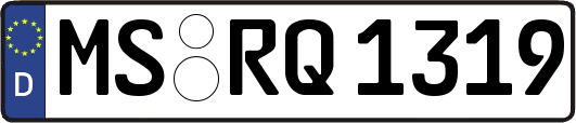 MS-RQ1319