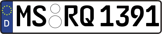 MS-RQ1391