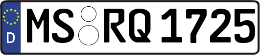MS-RQ1725