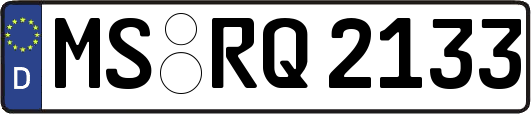 MS-RQ2133