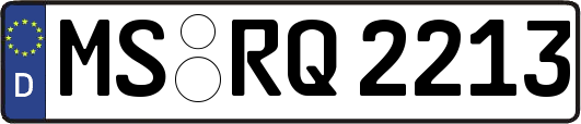 MS-RQ2213