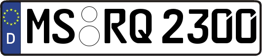 MS-RQ2300
