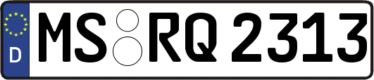 MS-RQ2313
