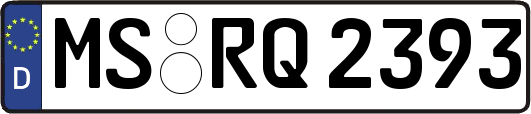 MS-RQ2393