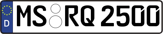 MS-RQ2500