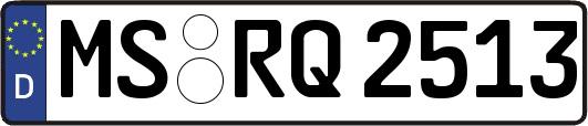 MS-RQ2513