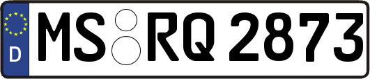 MS-RQ2873