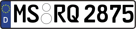 MS-RQ2875