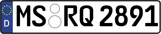 MS-RQ2891