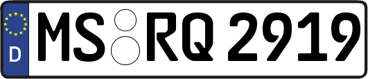 MS-RQ2919