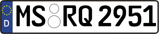 MS-RQ2951