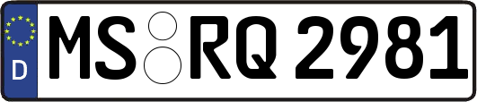 MS-RQ2981