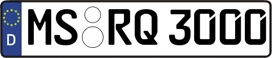 MS-RQ3000