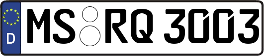 MS-RQ3003