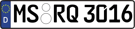 MS-RQ3016