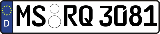 MS-RQ3081