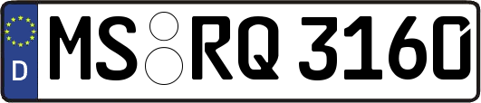 MS-RQ3160