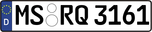MS-RQ3161