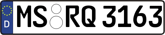 MS-RQ3163
