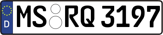 MS-RQ3197