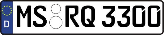 MS-RQ3300