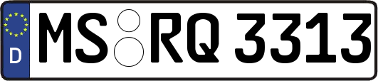 MS-RQ3313